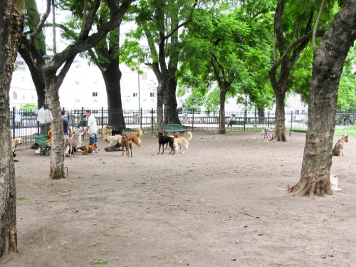 Doggy Day Care - Plaza San Martin, Buenos Aires