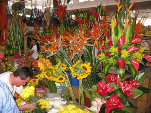 Flowers at the markets