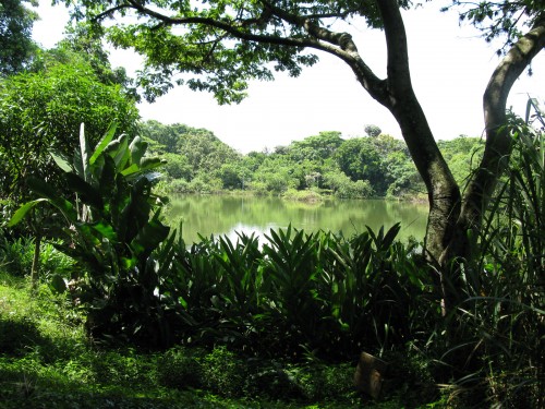 Ecoparque Lago de las Garzas