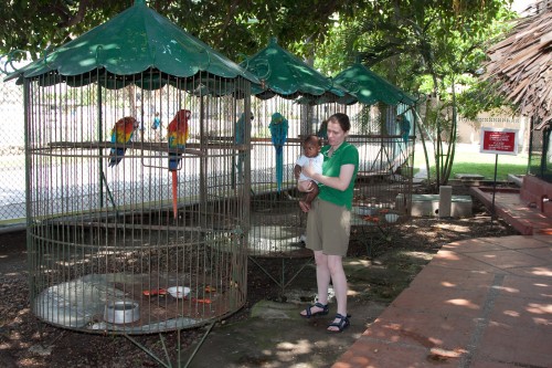 Leanne and Andres say goodbye to the Macaws