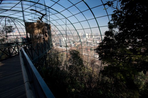 Walk-through aviary at Santiago Zoo