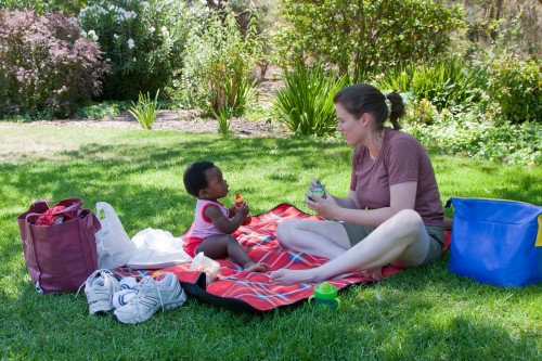 Picnic lunch in Wagga Wagga botanic gardens