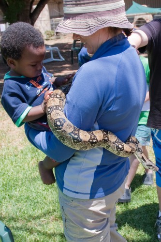 Leanne and Andres pat a large python at Bredl's Reptile Park