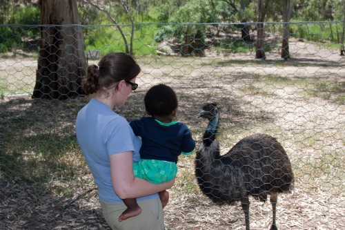 Leanne and Andres say hello to an emu at a small fauna park